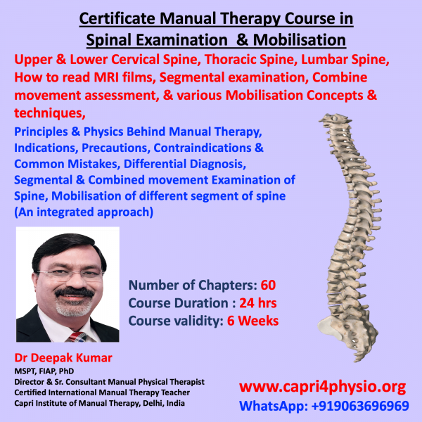 spine manual therapy